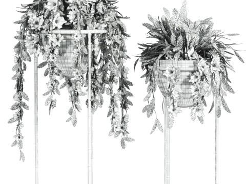 Plants set 3D Modell