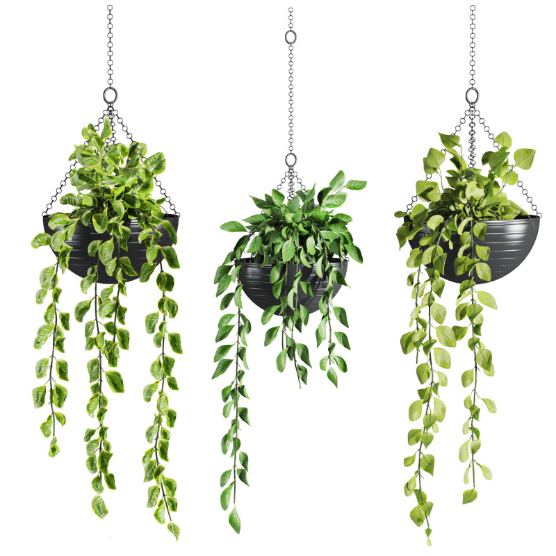 Hanging plants set 3D 模型 .c4d .max .obj .3ds .fbx .stl .blend