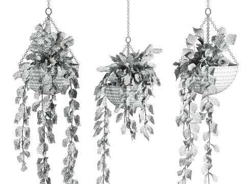 Hanging plants set 3D 模型