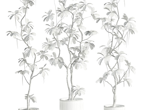 Plants set Model 3D