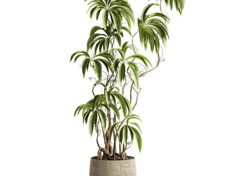 Plant 3D Model