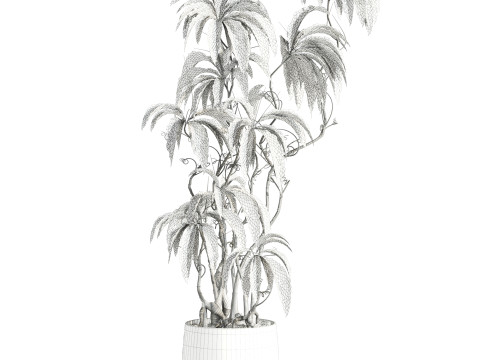 Plant 3D-Modell