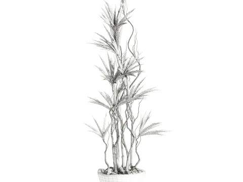 Plant 3D Model