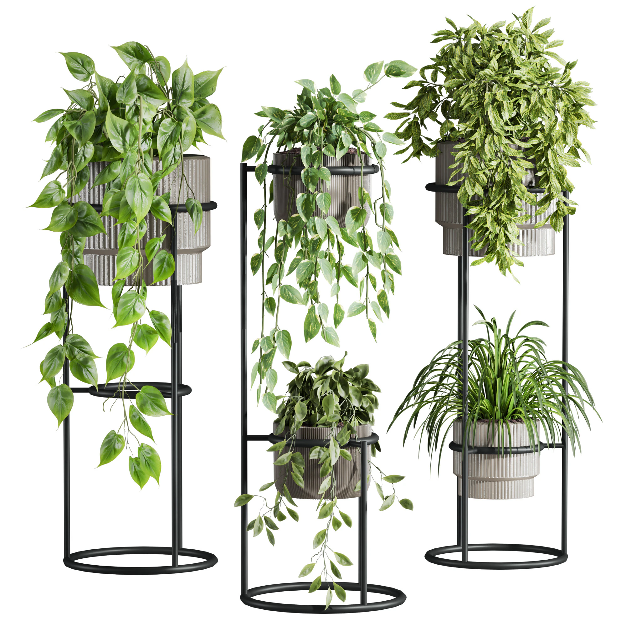Plants set 3D Model .c4d .max .obj .3ds .fbx .stl .blend