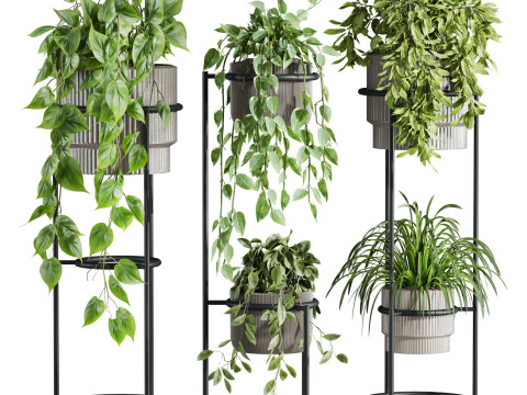 Plants set 3D Model