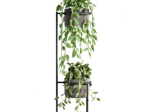 Plants set Modèle 3D