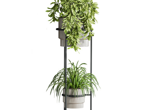 Plants set Modèle 3D