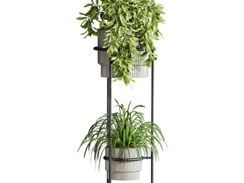 Plants set 3D Model