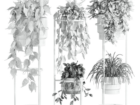 Plants set Modèle 3D
