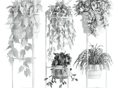 Plants set 3D Model