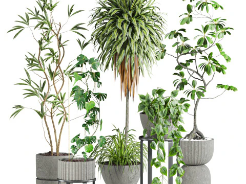 Plants set 3D Model