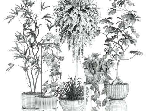 Plants set Model 3D