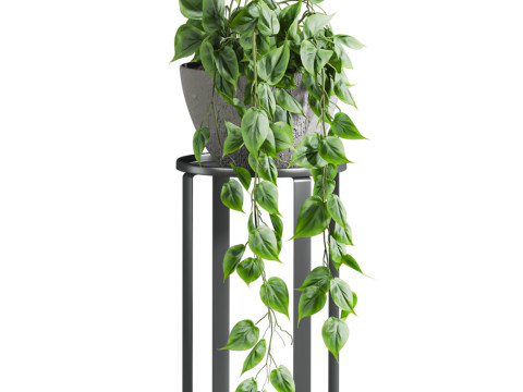 Plants set Model 3D