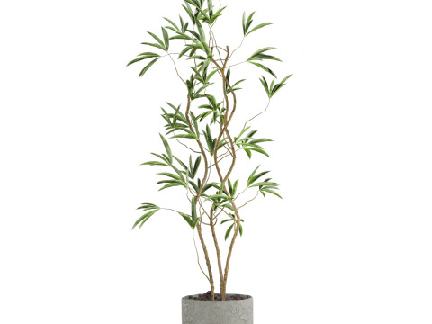Plants set Model 3D