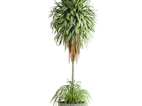 Plants set Model 3D