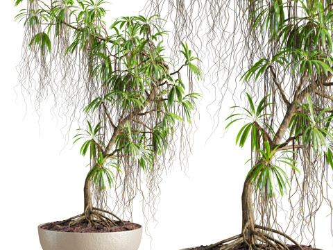 Plant 3D Модель