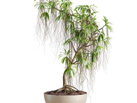 Plant 3D Model