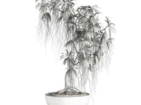 Plant 3D Model