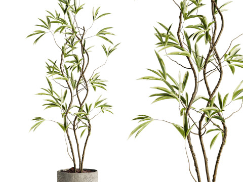 Plant 3D 모델