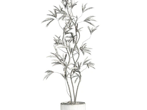 Plant 3D Model