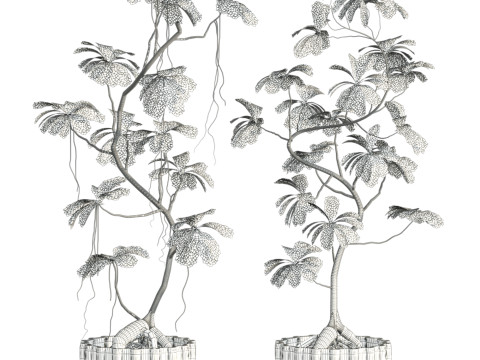 Plants set 3D Model