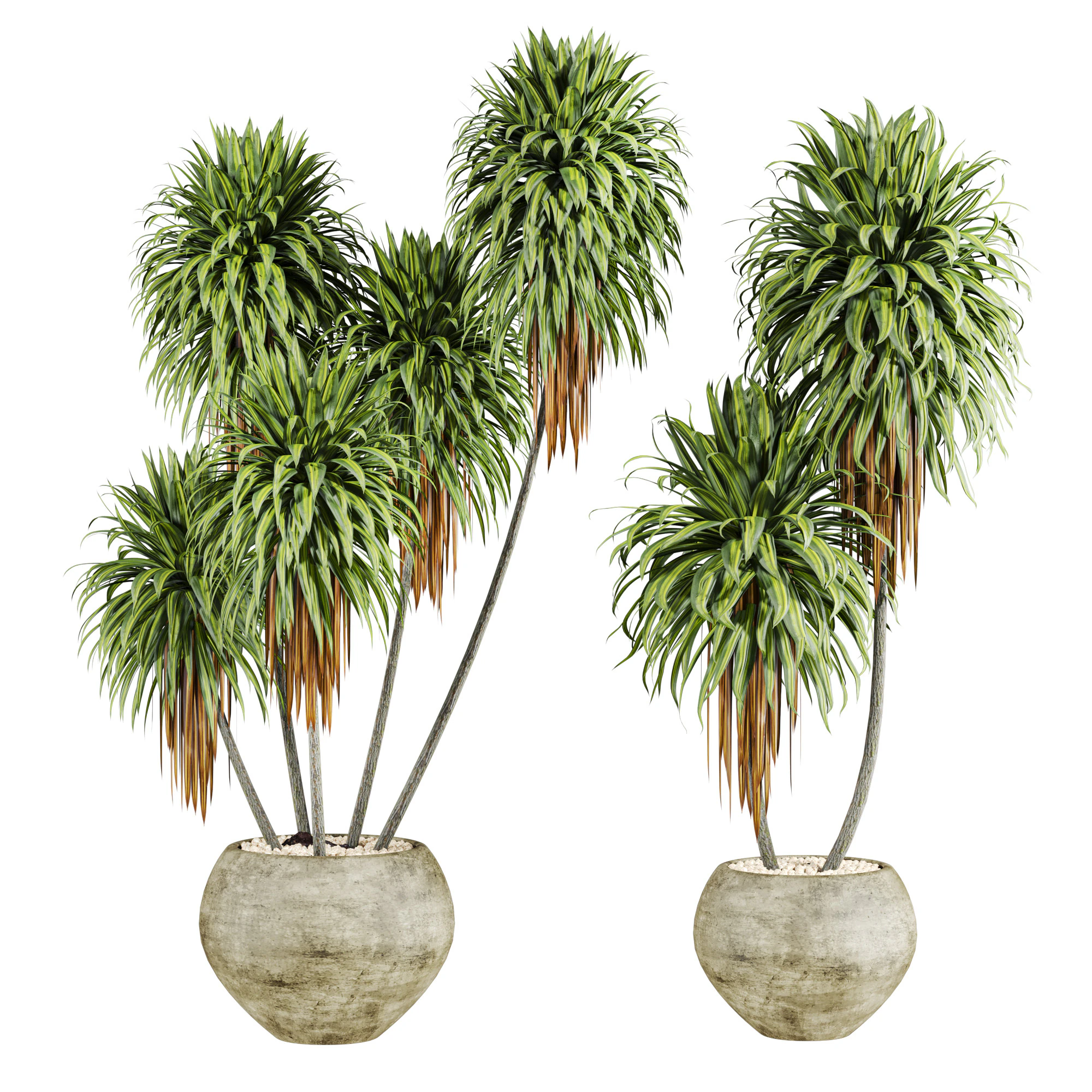 Plants set 3D Model .c4d .max .obj .3ds .fbx .stl .blend 