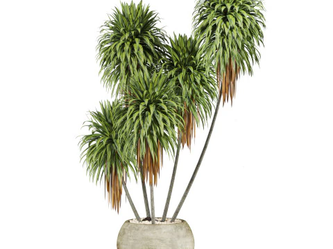Plants set 3D Model