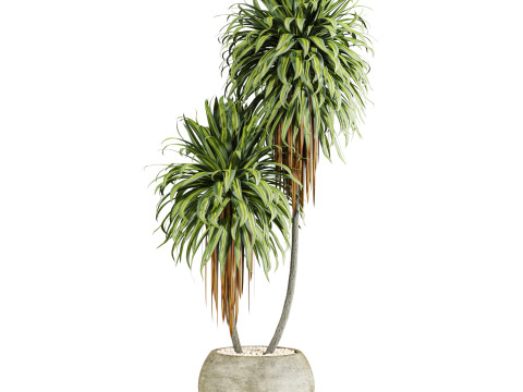 Plants set 3D Model