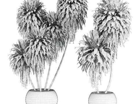 Plants set 3D Model