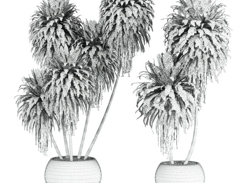 Plants set 3D Model