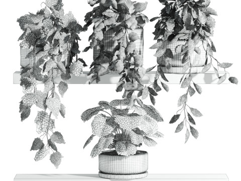 Plants set on shelf 3D Model