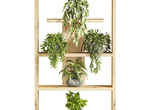 Plants set Model 3D