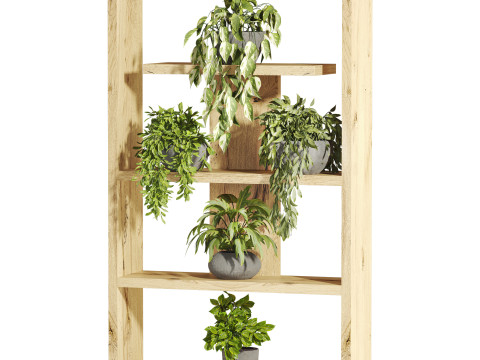 Plants set Model 3D