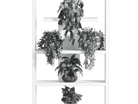 Plants set Model 3D