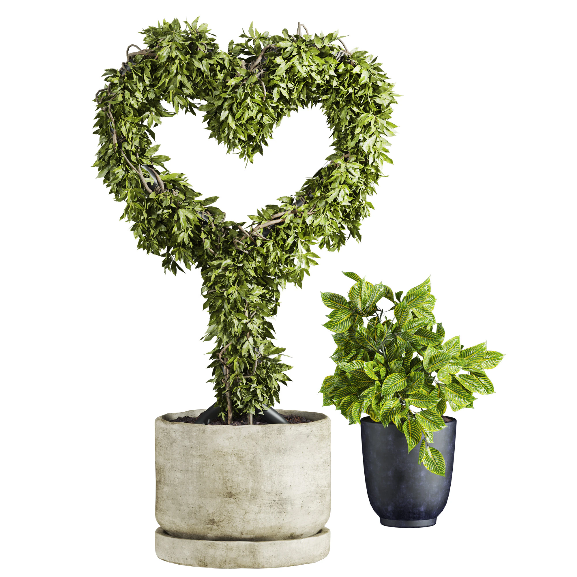 Heart plant 3D Model .c4d .max .obj .3ds .fbx .stl .blend 