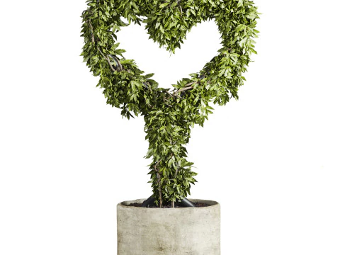 Heart plant 3D Model