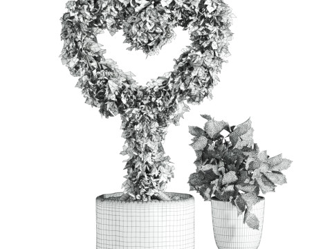 Heart plant Modèle 3D