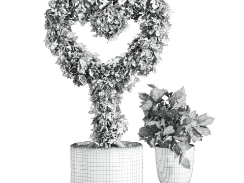 Heart plant 3D Model