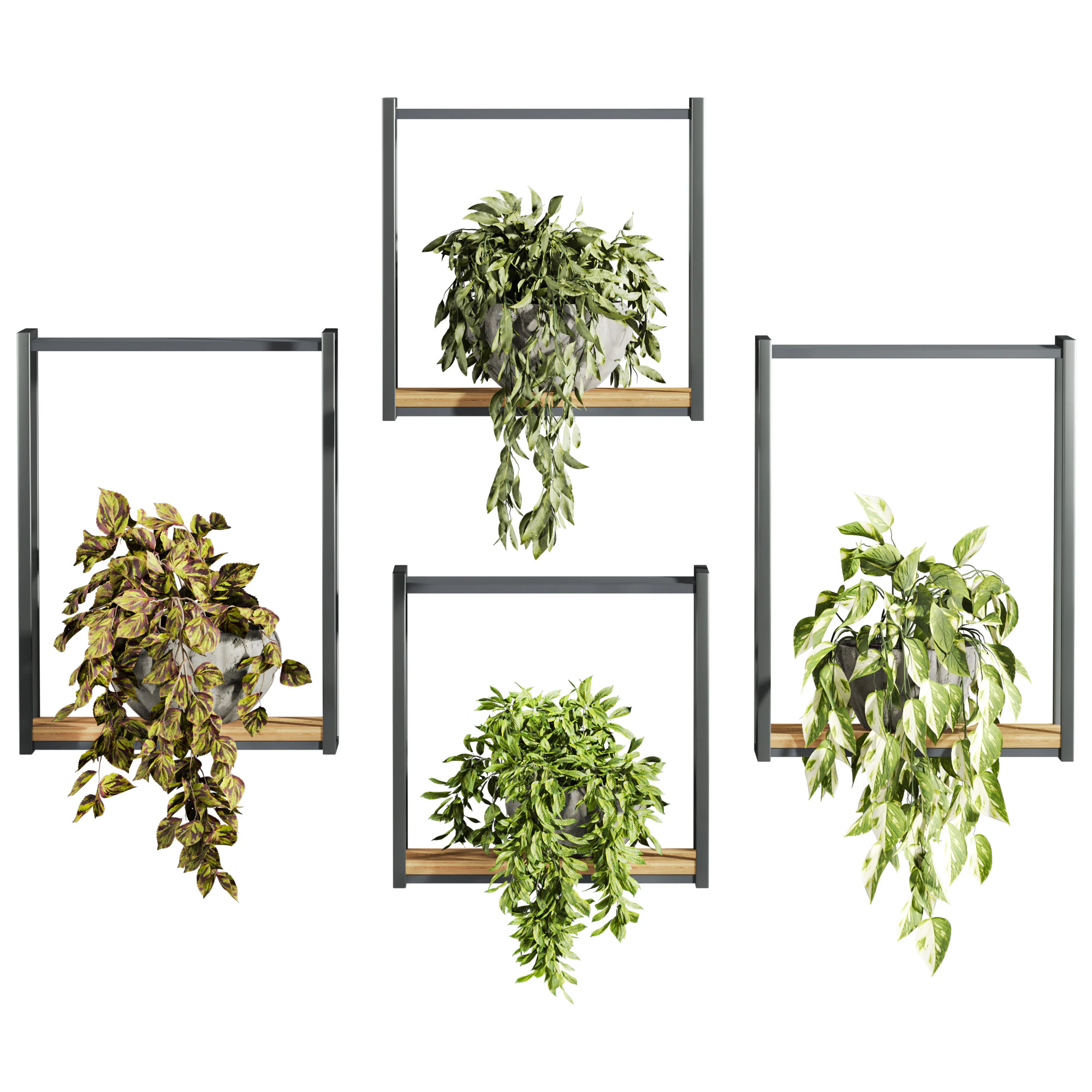 Plants set on shelf 3D Model .c4d .max .obj .3ds .fbx .stl .blend 