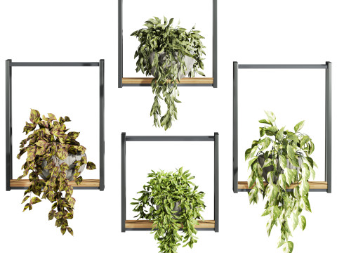 Plants set on shelf Modelo 3D