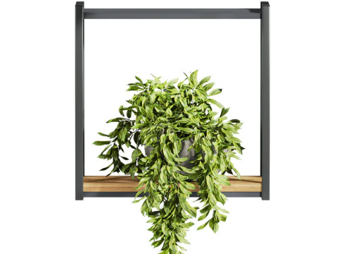 Plants set on shelf 3D Model