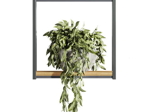 Plants set on shelf 3D Model