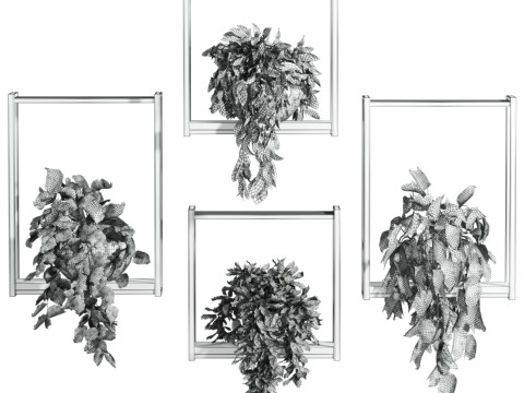 Plants set on shelf 3D Модель