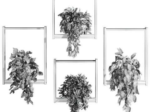 Plants set on shelf 3D Model