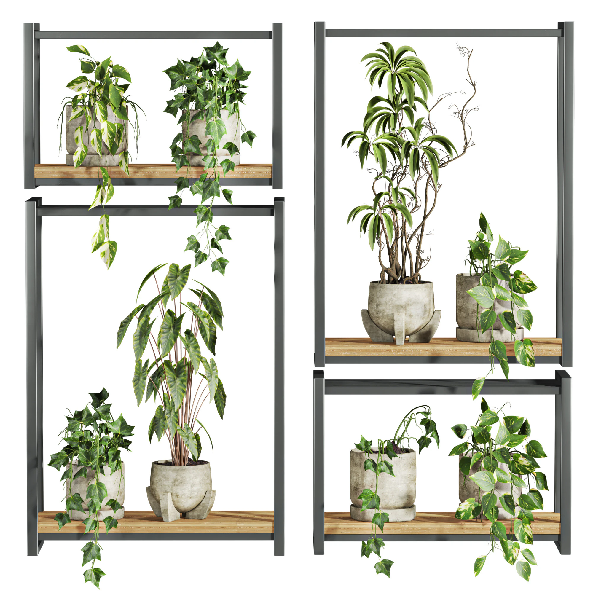 Plants set on shelf 3D Model .c4d .max .obj .3ds .fbx .stl .blend 