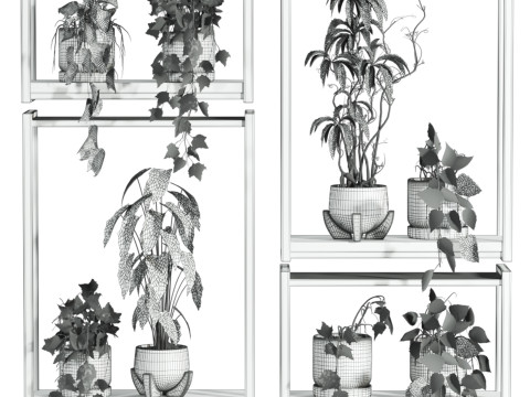 Plants set on shelf 3D Model