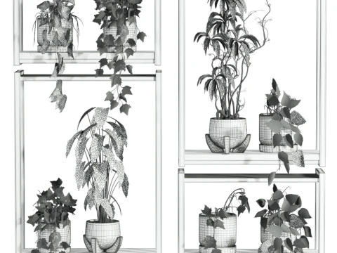 Plants set on shelf 3D Model