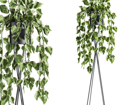 Plants set 3D Model