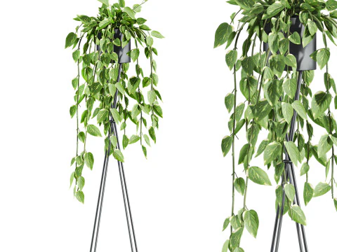 Plants set 3D Model