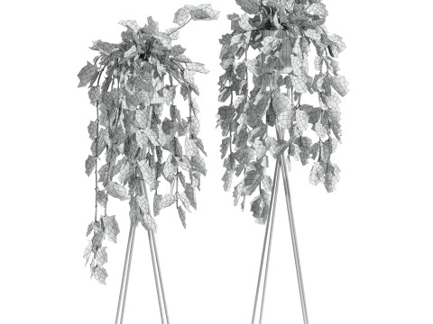 Plants set 3D Model